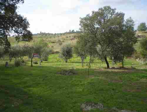 Image No.5-Propriété à vendre à Castelo Branco