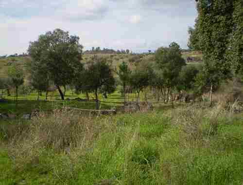 Image No.6-Propriété à vendre à Castelo Branco