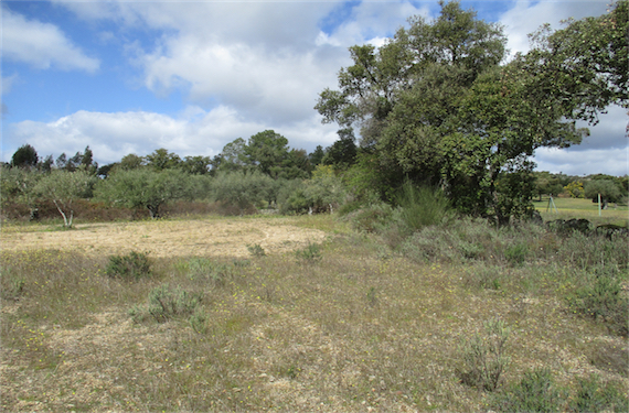 Image No.14-Propriété à vendre à Castelo Branco