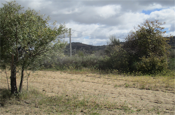 Image No.15-Propriété à vendre à Castelo Branco