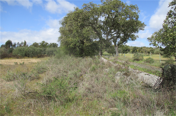Image No.17-Propriété à vendre à Castelo Branco