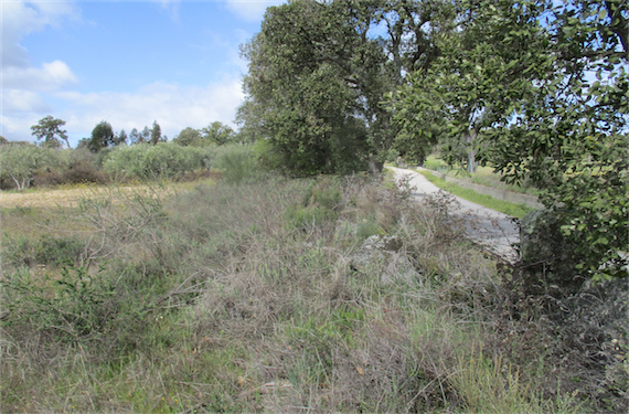 Image No.18-Propriété à vendre à Castelo Branco