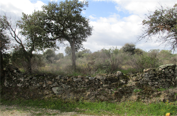 Image No.19-Propriété à vendre à Castelo Branco