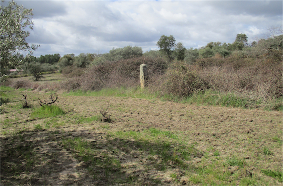Image No.20-Propriété à vendre à Castelo Branco