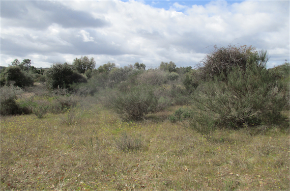 Image No.22-Propriété à vendre à Castelo Branco