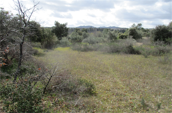 Image No.23-Propriété à vendre à Castelo Branco