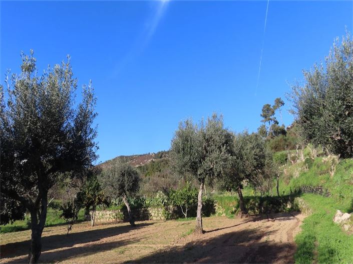 Image No.5-Propriété à vendre à Castelo Branco