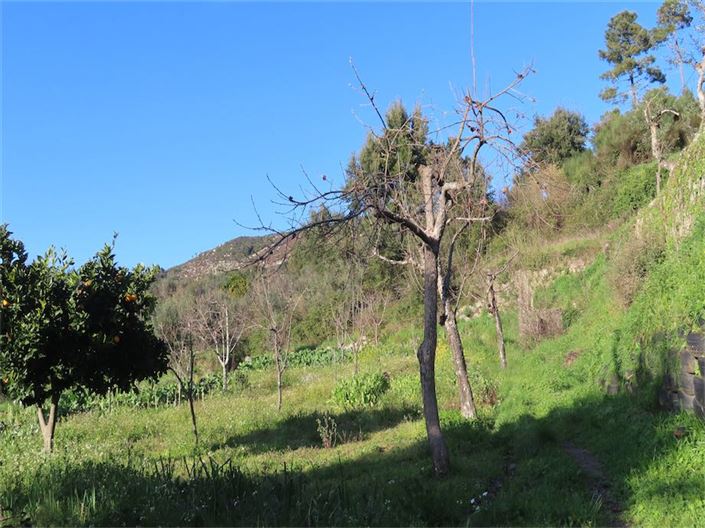 Image No.7-Propriété à vendre à Castelo Branco