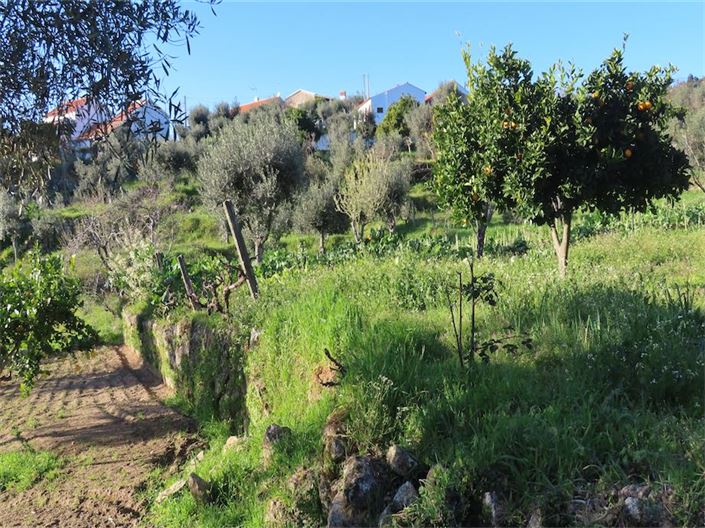 Image No.8-Propriété à vendre à Castelo Branco