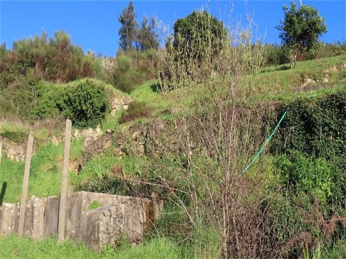 Image No.9-Propriété à vendre à Castelo Branco