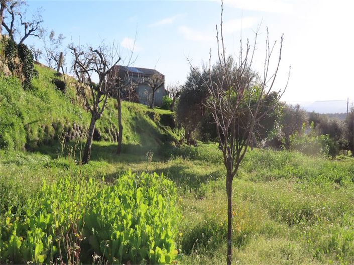 Image No.10-Propriété à vendre à Castelo Branco