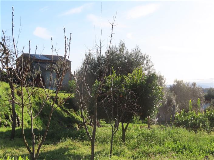 Image No.11-Propriété à vendre à Castelo Branco