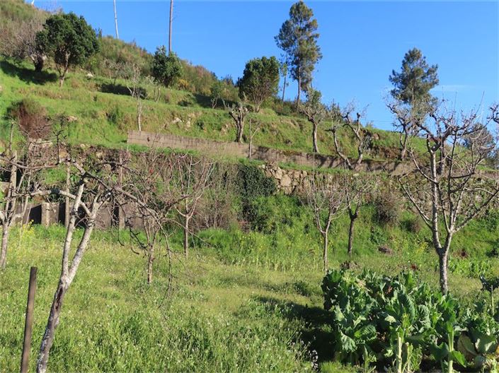 Image No.12-Propriété à vendre à Castelo Branco