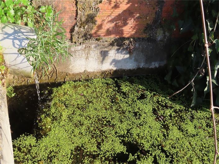 Image No.14-Propriété à vendre à Castelo Branco