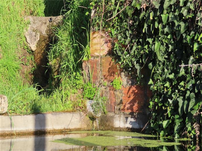 Image No.15-Propriété à vendre à Castelo Branco