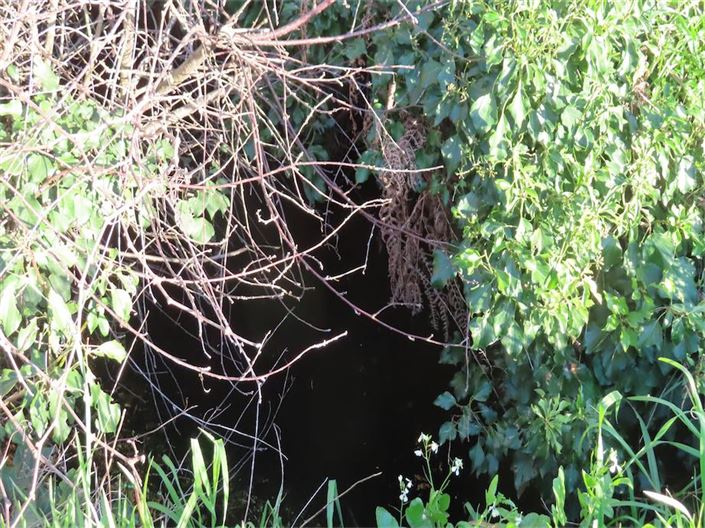 Image No.16-Propriété à vendre à Castelo Branco