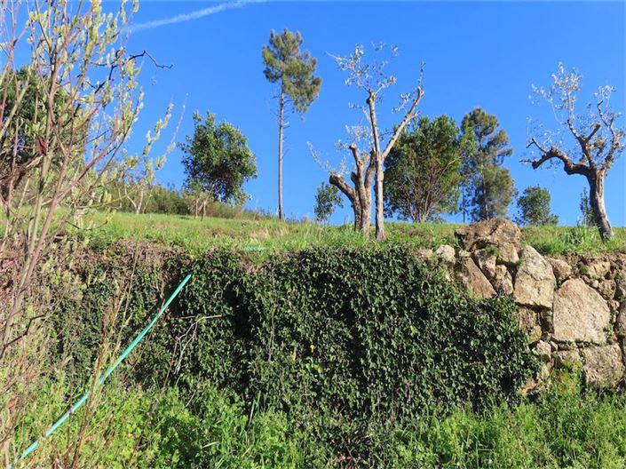 Image No.17-Propriété à vendre à Castelo Branco