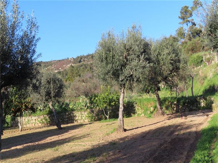 Image No.20-Propriété à vendre à Castelo Branco