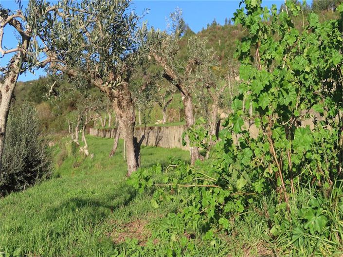 Image No.21-Propriété à vendre à Castelo Branco