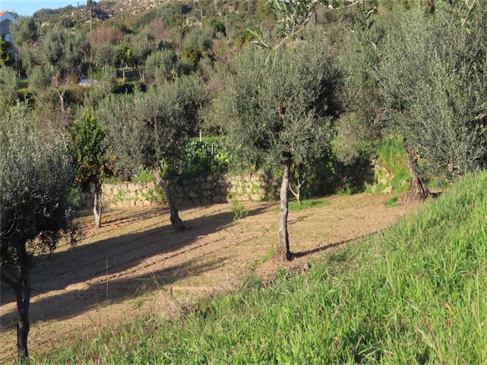 Image No.22-Propriété à vendre à Castelo Branco