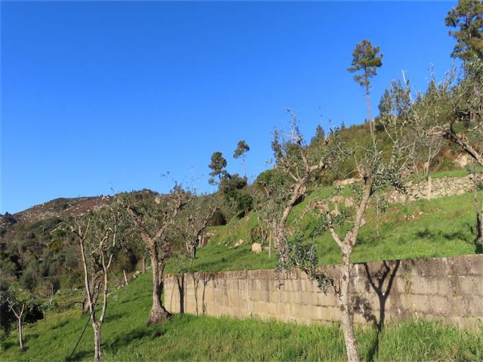 Image No.25-Propriété à vendre à Castelo Branco