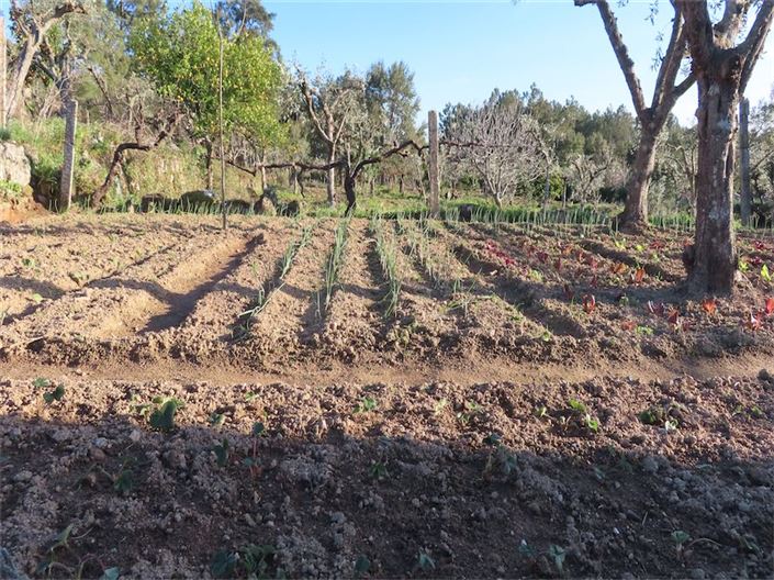 Image No.27-Propriété à vendre à Castelo Branco