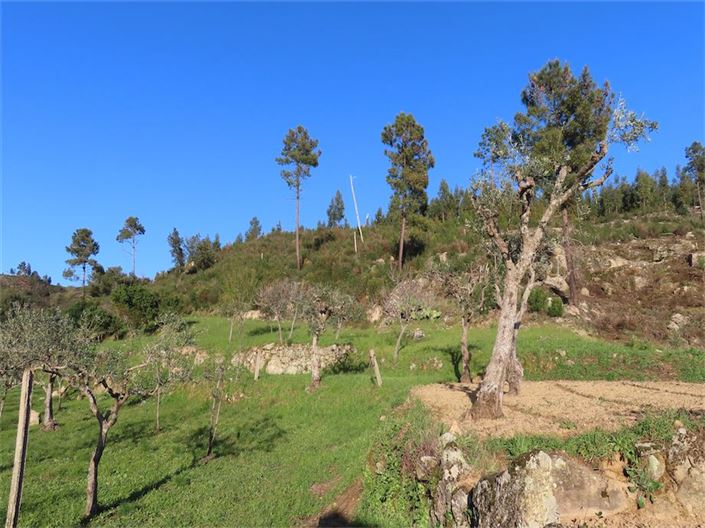 Image No.28-Propriété à vendre à Castelo Branco