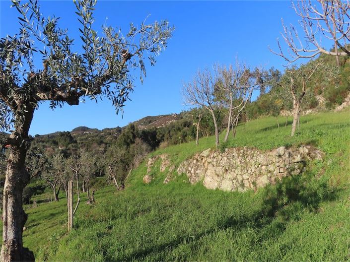 Image No.30-Propriété à vendre à Castelo Branco