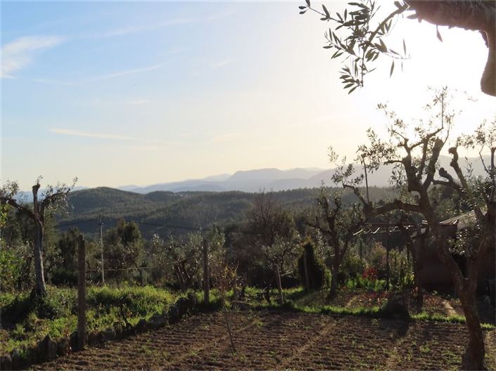 Image No.31-Propriété à vendre à Castelo Branco