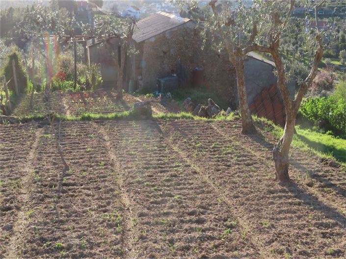 Image No.32-Propriété à vendre à Castelo Branco