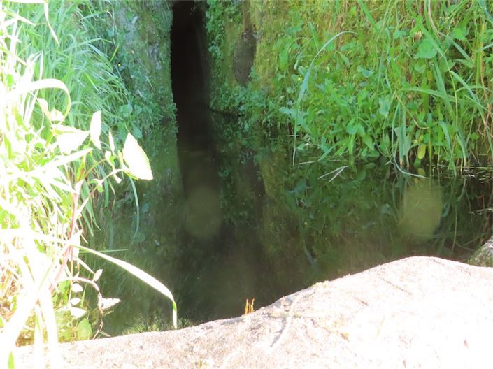 Image No.2-Propriété à vendre à Castelo Branco