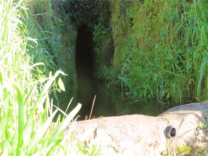 Image No.3-Propriété à vendre à Castelo Branco