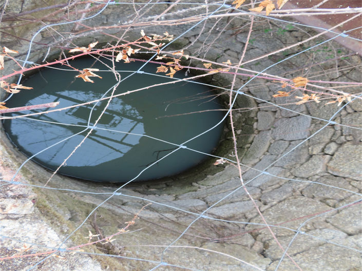 Image No.13-Propriété à vendre à Castelo Branco