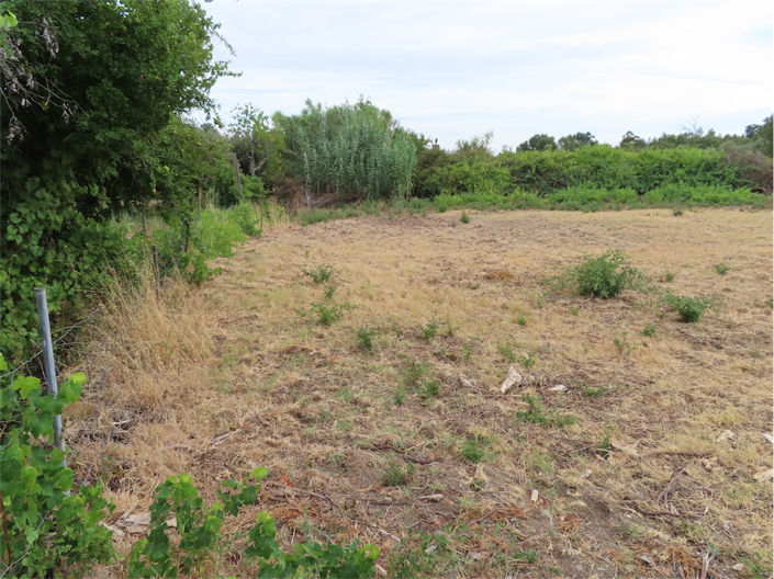 Image No.15-Propriété à vendre à Castelo Branco