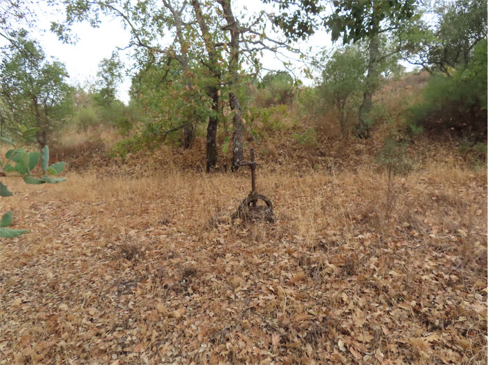 Image No.2-Propriété à vendre à Castelo Branco