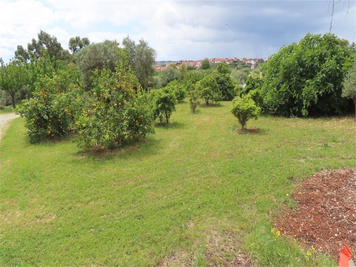 Image No.27-Propriété de 5 chambres à vendre à Castelo Branco