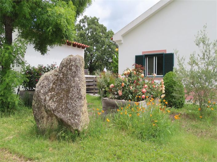 Image No.30-Propriété de 5 chambres à vendre à Castelo Branco
