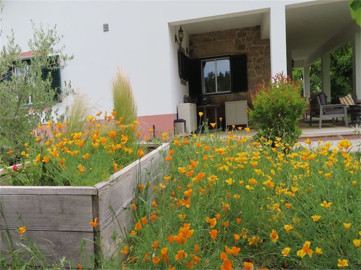 Image No.31-Propriété de 5 chambres à vendre à Castelo Branco