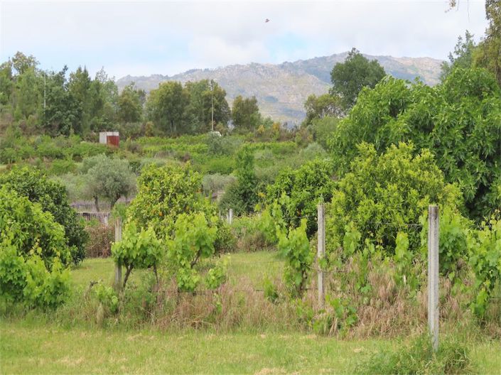 Image No.33-Propriété de 5 chambres à vendre à Castelo Branco