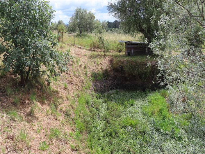 Image No.37-Propriété de 5 chambres à vendre à Castelo Branco