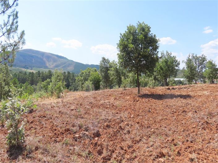 Image No.10-Propriété à vendre à Castelo Branco