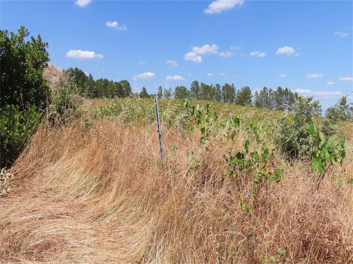 Image No.12-Propriété à vendre à Castelo Branco