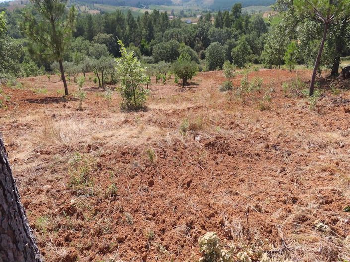 Image No.16-Propriété à vendre à Castelo Branco