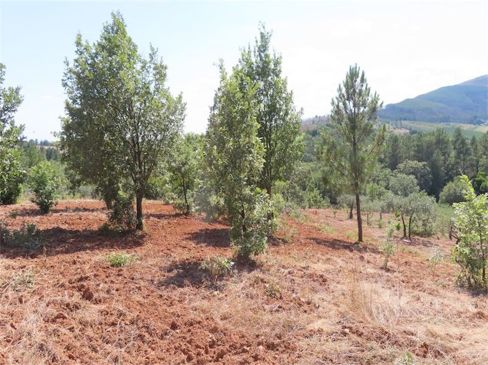 Image No.17-Propriété à vendre à Castelo Branco