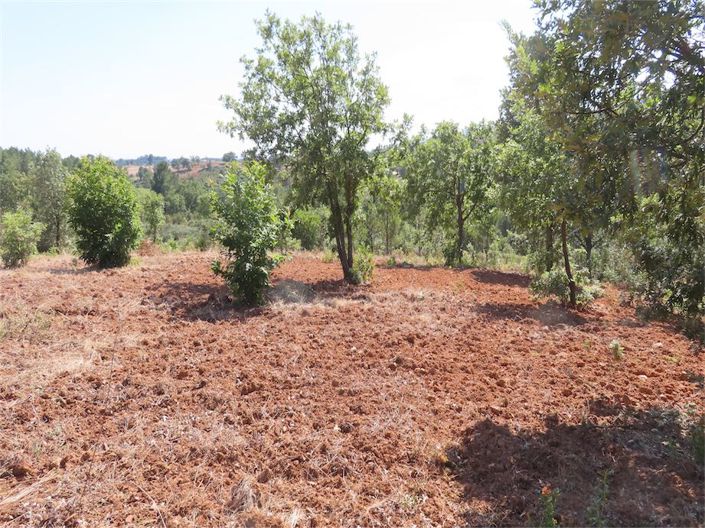 Image No.18-Propriété à vendre à Castelo Branco