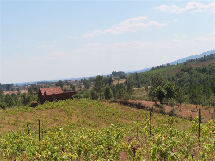 Image No.3-Propriété à vendre à Castelo Branco