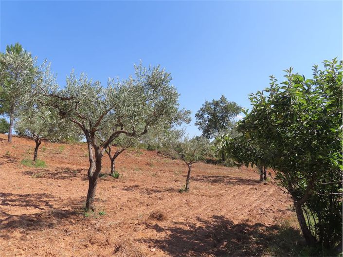 Image No.32-Propriété à vendre à Castelo Branco