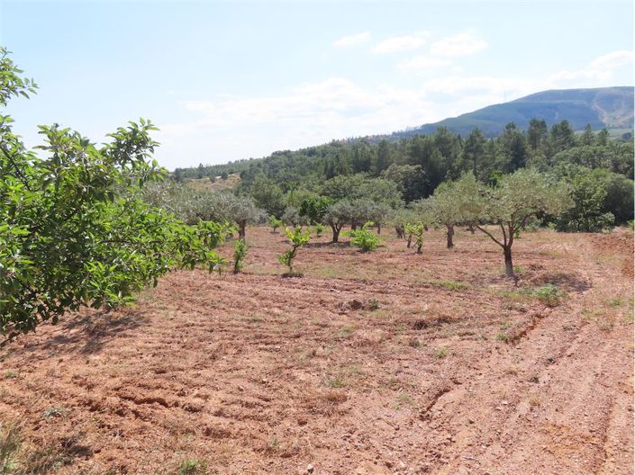 Image No.33-Propriété à vendre à Castelo Branco