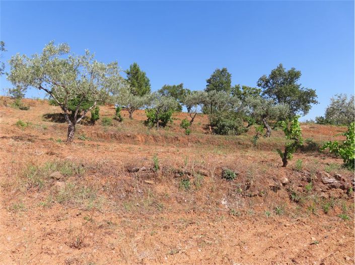 Image No.34-Propriété à vendre à Castelo Branco