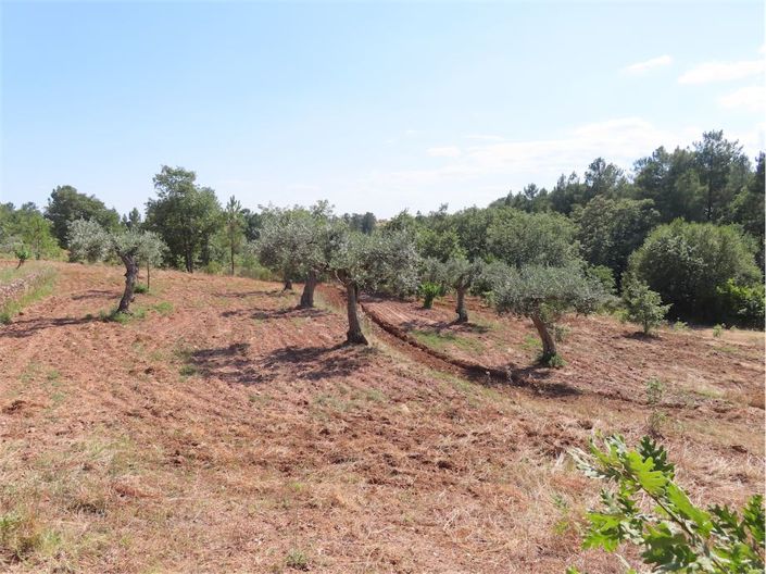 Image No.35-Propriété à vendre à Castelo Branco